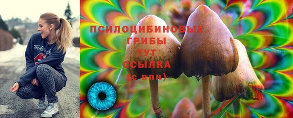 jwh Майский