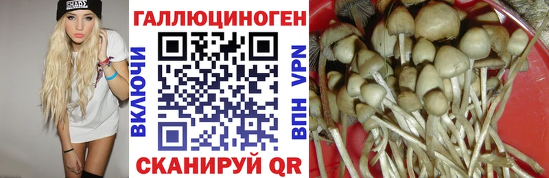 Псилоцибиновые грибы MAGIC MUSHROOMS  закладка  Сольцы 